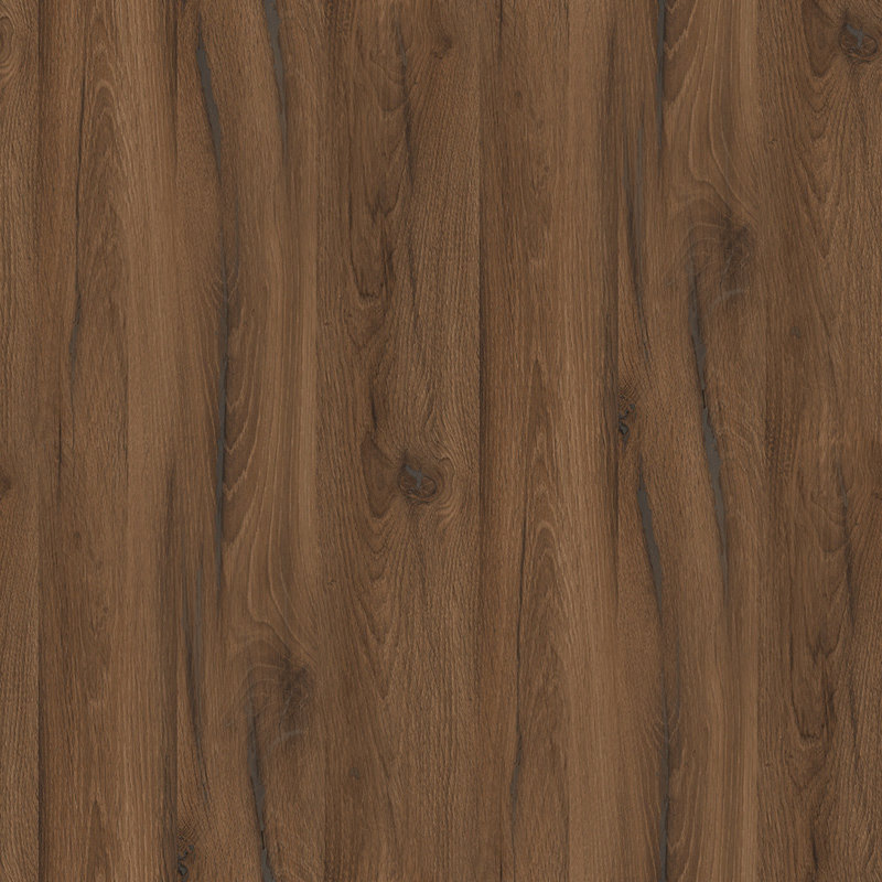 Дуб Ліворно