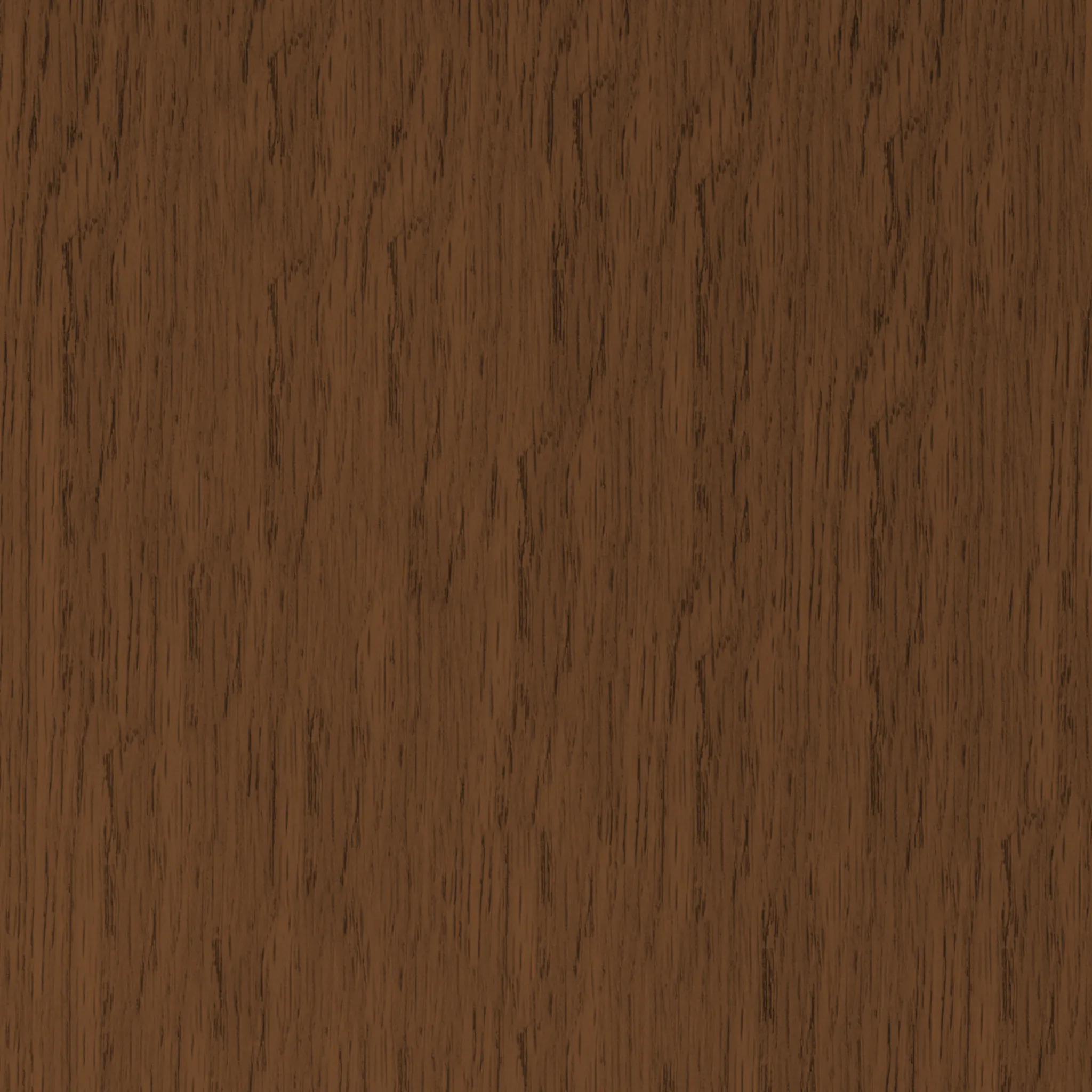 Горіх світлий